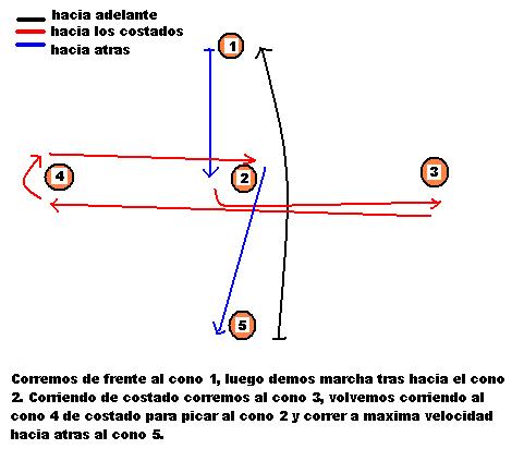 conosagil1.jpg