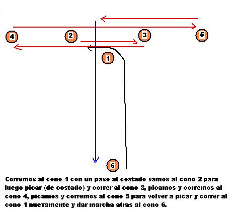 conosagil3.jpg