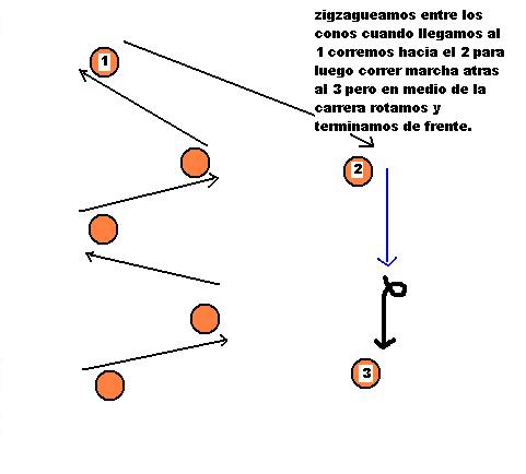 conosagil4.jpg